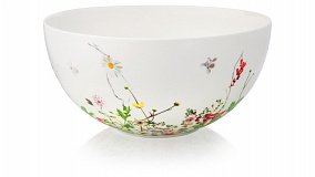 Столовый сервиз на 6 персон Rosenthal "Дикие цветы", 20 предметов