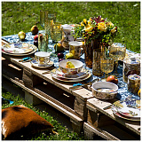 Чайный сервиз на 6 персон Фрукты (104-905)